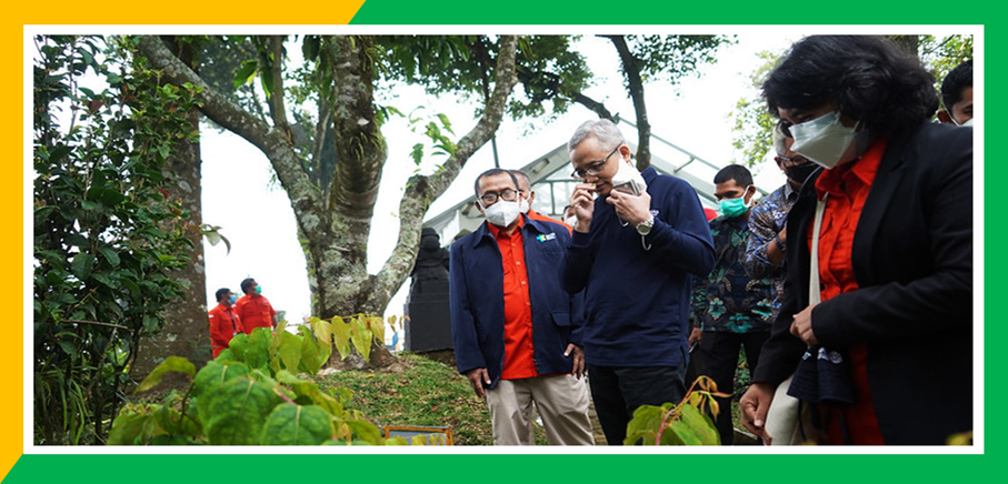 Sekjen Kemkes: Perlu Adanya Transformasi di Bidang Kesehatan Tradisional